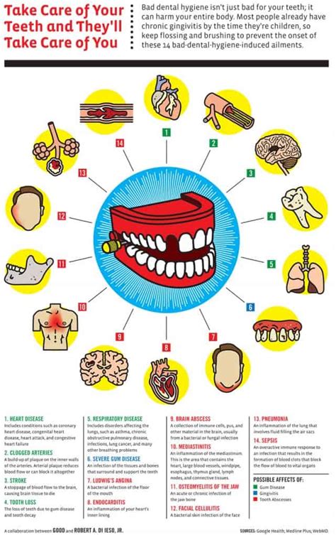 Healthy Teeth Healthy You Daily Infographic