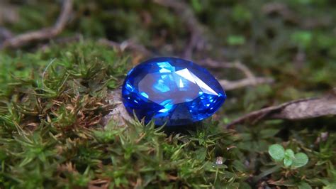 Ceylon Natural Vivid Royal Blue Sapphire - Danu Group