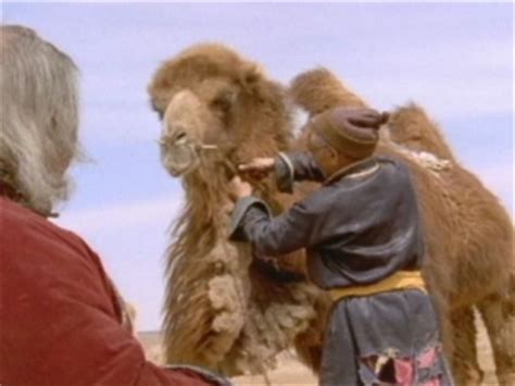 Although the end of the embroidery is missing, the story ends. The Story Of The Weeping Camel Trailer (2004) - Video ...