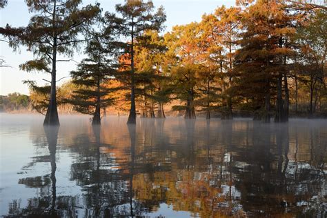 Featured Location for January 2019: Sequoyah State Park - Oklahoma Film ...