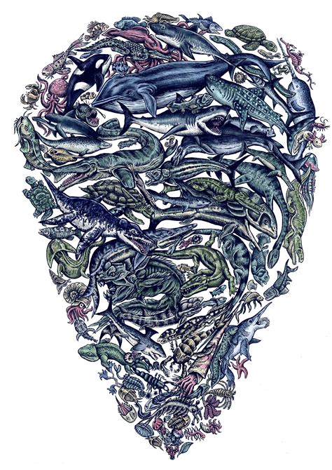Ocean Evolution Matt Chamberlain Illustration