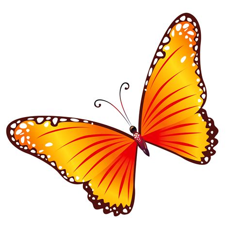 Free Transparent Butterfly Images Download Free Transparent Butterfly