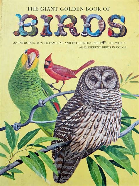 Vintage Kids Books My Kid Loves The Giant Golden Book Of Birds