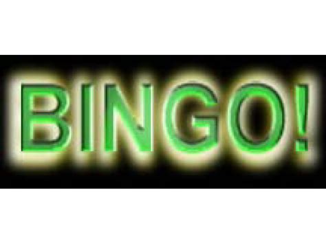 Girls Night Out Bingo And Vendor Showcase Norristown Pa Patch