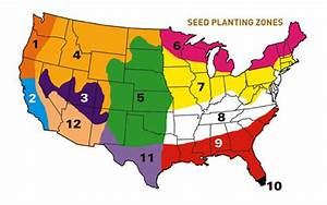 When To Plant Grass Seed In Your State