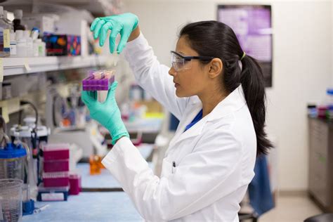 What Does A Medical Laboratory Technician Do