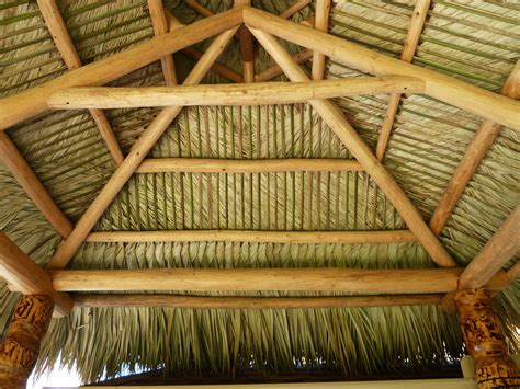 Thatched Roof Made From Real Palm Fronds Florida Palmtrees Tiki