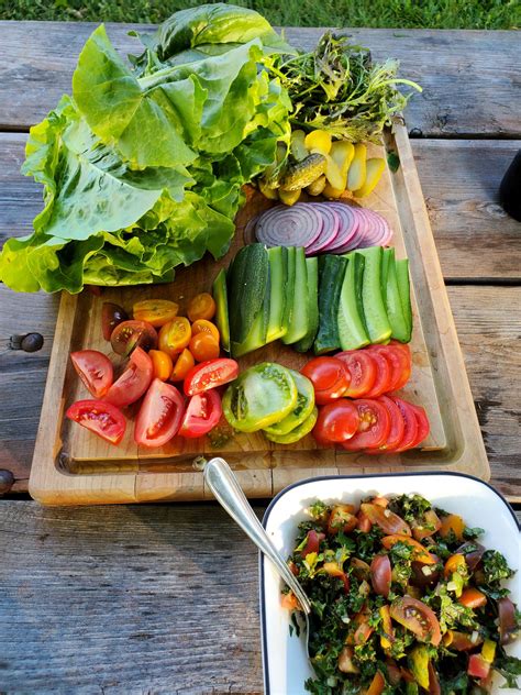 Farm Happenings for August 17, 2023 - Farm Happenings at Red Rabbit