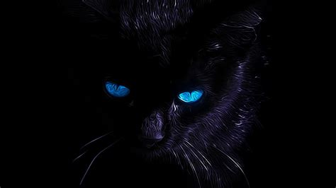 Black Cat Eyes Wallpaper Cat With Blue Eyes Cat Wallpaper