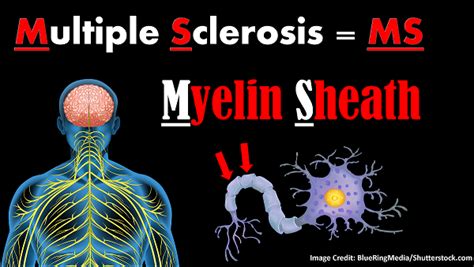 Multiple Sclerosis (MS) NCLEX Review
