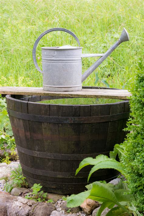 Daher ist es heutzutage üblich eine zisterne zumindest im garten installiert zu haben ablaufwert: Regenwasser Ableiten Garten