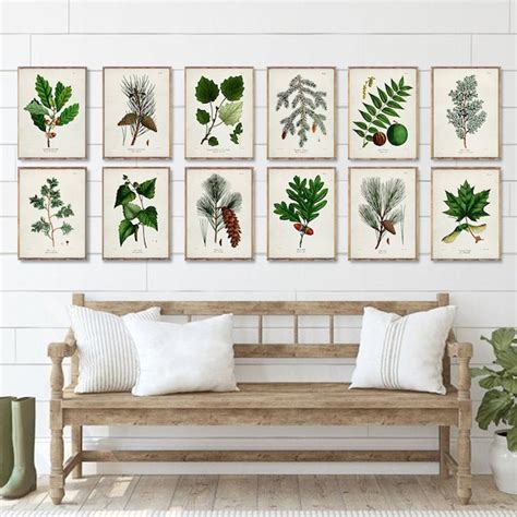 Coniferous Trees Poster Etsy