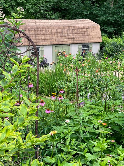 How My Cottage Garden Flowers Grew In 2021 Stacy Ling