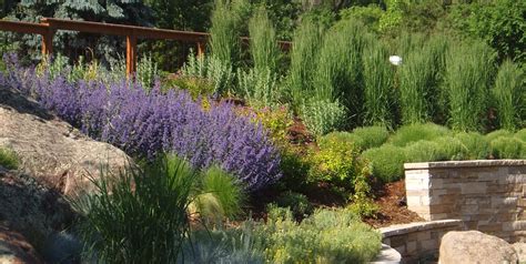 Professional Xeriscaping Tips Landscaping Network