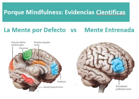 Mindfulness Qué es y para qué se practica Psicologoterapiafeliz com