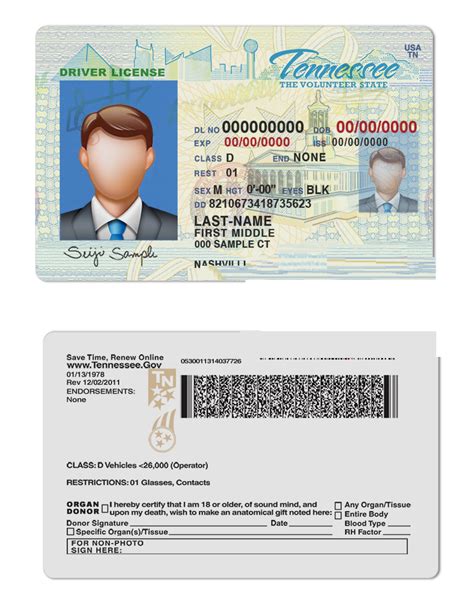 Tennessee Driver License Psd Template Webchinhto