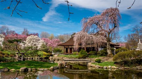 The Subaru Cherry Blossom Festival Of Greater Philadelphia — Visit