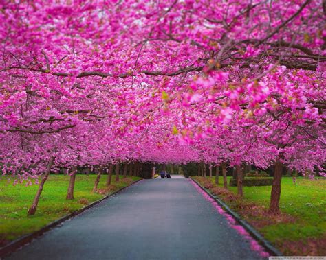 If you're looking for the best high quality background images then wallpapertag is the place to be. FREE 24+ High Quality Backgrounds in PSD | AI