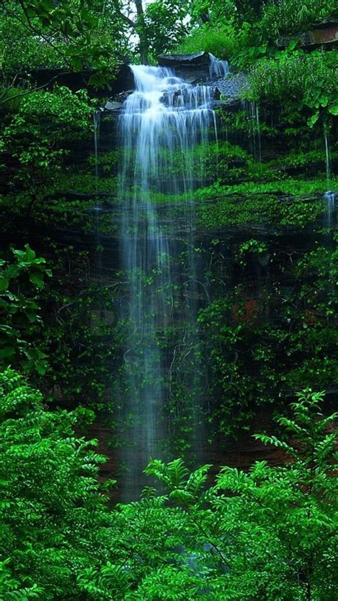 Nature Forest Waterfall Iphone 6 Wallpaper Waterfall