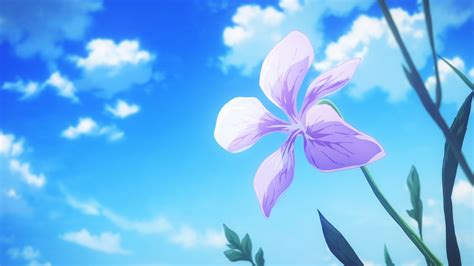 Anime Flower Background Anime Flowers Pictures Images And Photos