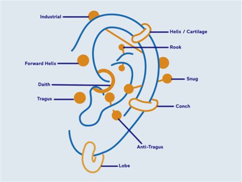 Ear Piercing Benefits Chart