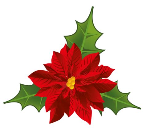 Poinsettia Flower Christmas Clip Art Flower Png Download Free Transparent