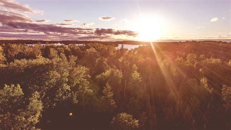 Free Images Landscape Tree Nature Forest Horizon Wilderness