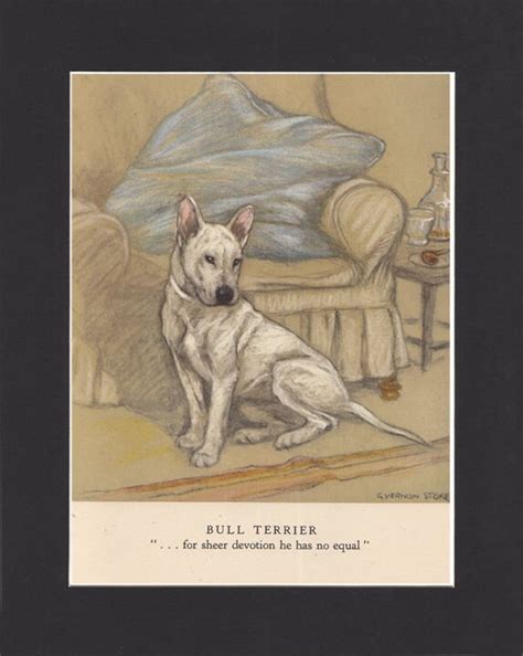 Bull Terrier Vintage Dog Print George Vernon Stokes 1947 Etsy