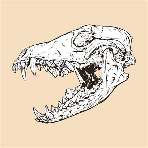 Update 67 Coyote Skull Tattoo Incdgdbentre