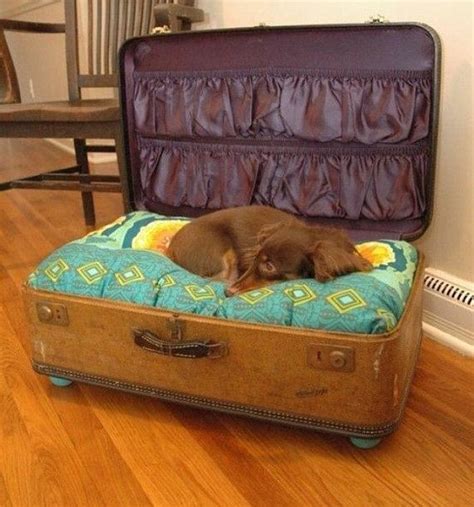 Vintage Suitcase Bed Diy Dog Stuff Pet Beds Pet Bed