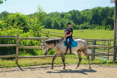 Horseback Riding Summer Camp Beginner To Advanced Rider