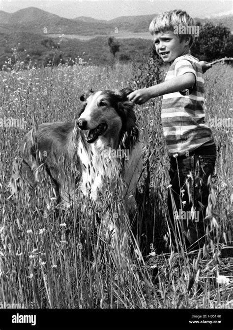 Lassie Lassie Jon Provost 1954 1974 1958 Episode Stock Photo Alamy