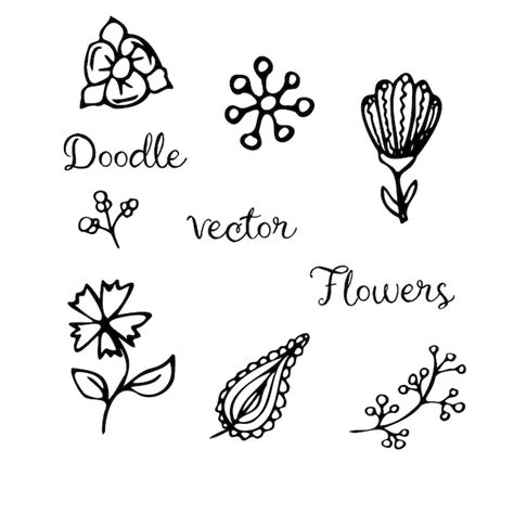 Premium Vector Doodle Flower Set Hand Drawn Line Sketch Floral Collection