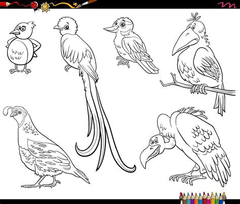 Dibujos Animados De Aves Animales Personajes Establecidos Página De