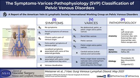 Evolution And Transformation Of Jvs Vl Journal Of Vascular Surgery