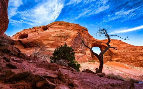 Desert Rock Tree Wallpapers Hd Desktop And Mobile Backgrounds