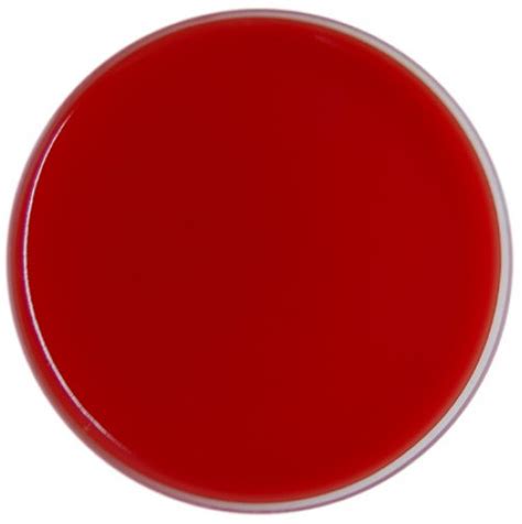 Clostridium perfringens on blood agar. Neomycin Blood Agar | Medical Laboratories
