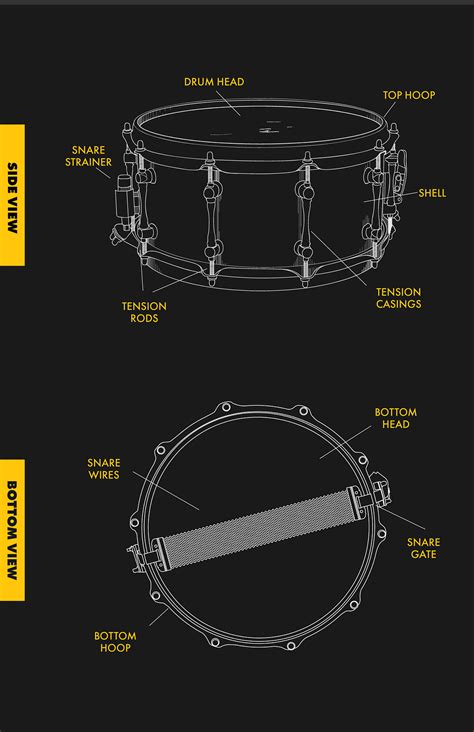 Anatomy Of A Snare Drum Snare Month Is In Full Force Here At By