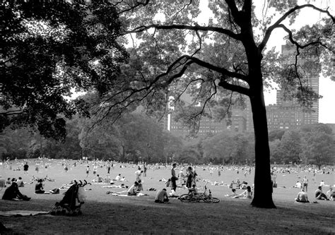 Sunday In The Central Park 2 New York2003 Scan From 35 Flickr