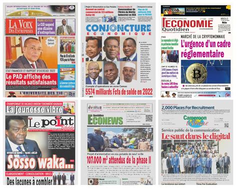 Cameroun La Revue De Presse Du Mardi 29 Août 2023