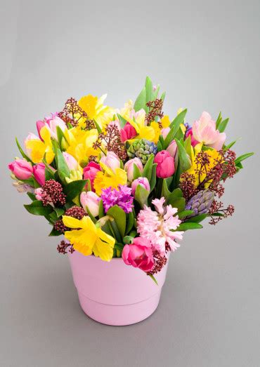 Why not bring back the sadly often ignored christmas tradition of beautiful christmas flowers this year? Maeve - Absolutely Fabulous Flowers - Flower delivery ...