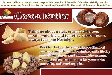 Health Benefits Of Cocoa Butter Essential Oil