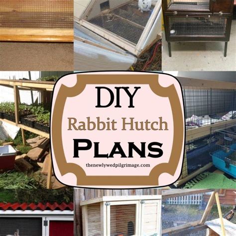 25 Diy Goat Hay Feeder Plans Mint Design Blog