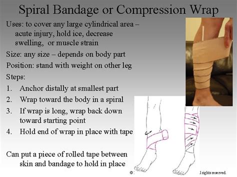 Chapter 11 Bandaging And Taping Techniques 2007 Mc