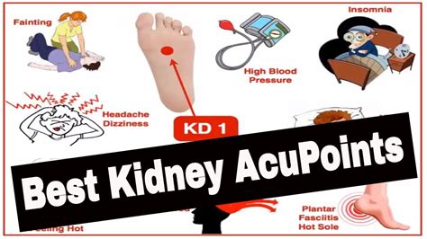 Kidney Acupressure Points Chart