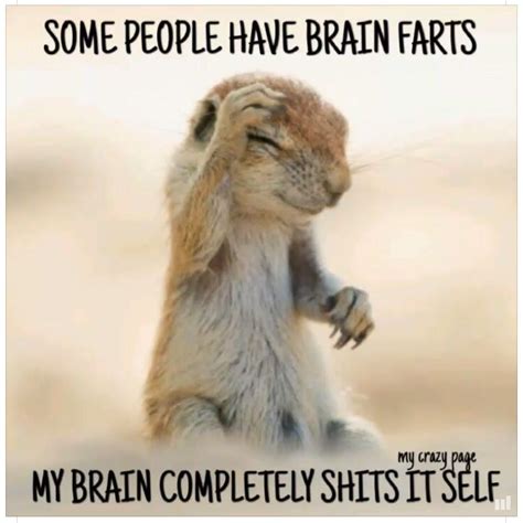 Brain Farts Funnies Funny Quotes Funny Funny Animal Memes