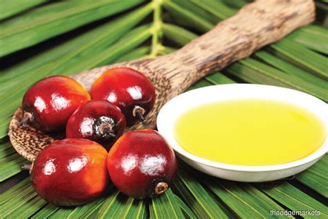 Malaysia palm oil price is at a current level of 1017.33, up from. Malaysian palm oil prices seen steady in 2019 — MPOC | The ...