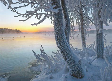 Cold Morning By Jorma Hevonkoski Winter Finland Landscape