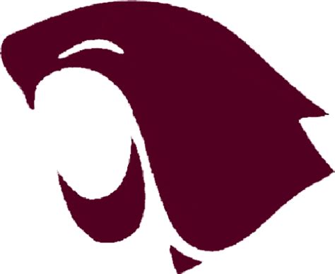 Washington State Cougars Logo History
