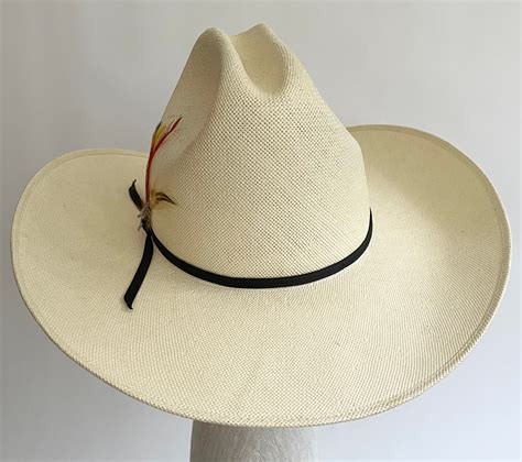 Stetson Shantung Cowboy Hat Feather Detail Jbs Branding Iron Hat Pin